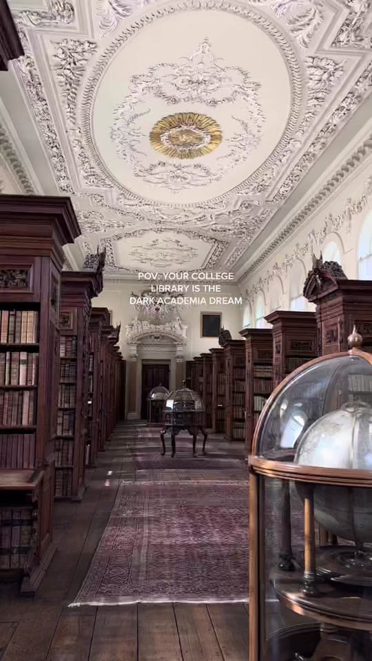 Post 10 by NT🕯️ on TikTok (video)