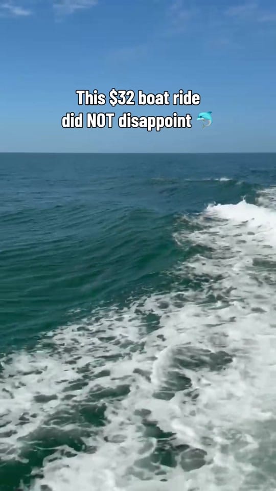 Post 10 by Jenny Yin | Travel Mom ✈️ on TikTok (video)