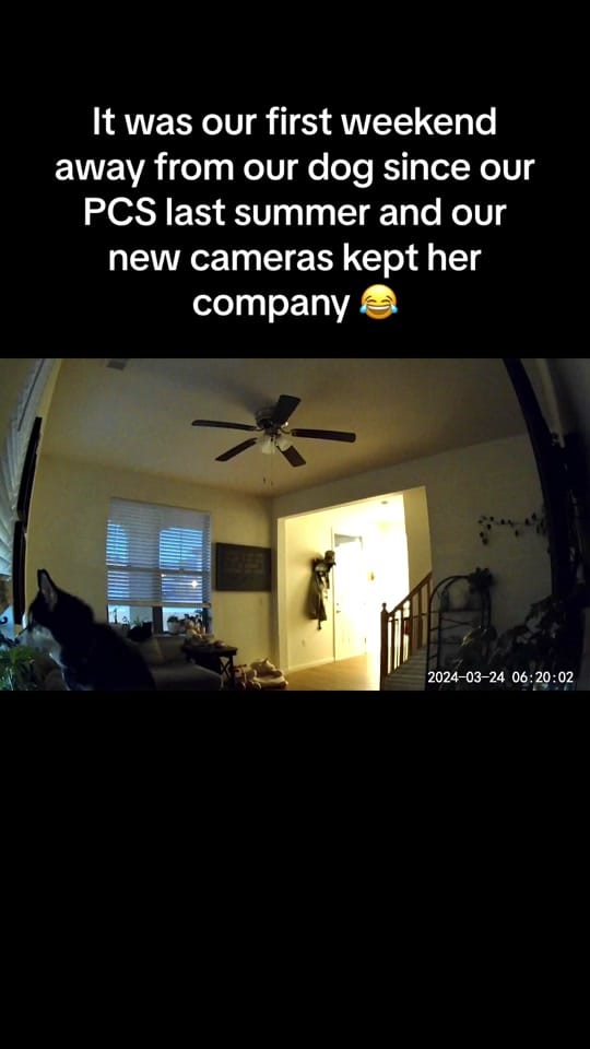 Post 2 by tryingwithmakayla on TikTok (video)