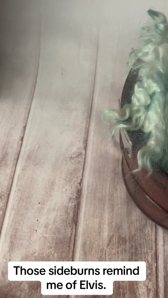 Post 8 by ChrissyShortPhotography on TikTok (video)