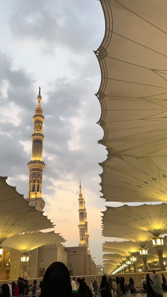 Post 8 by thehijrahfamily on TikTok (video)