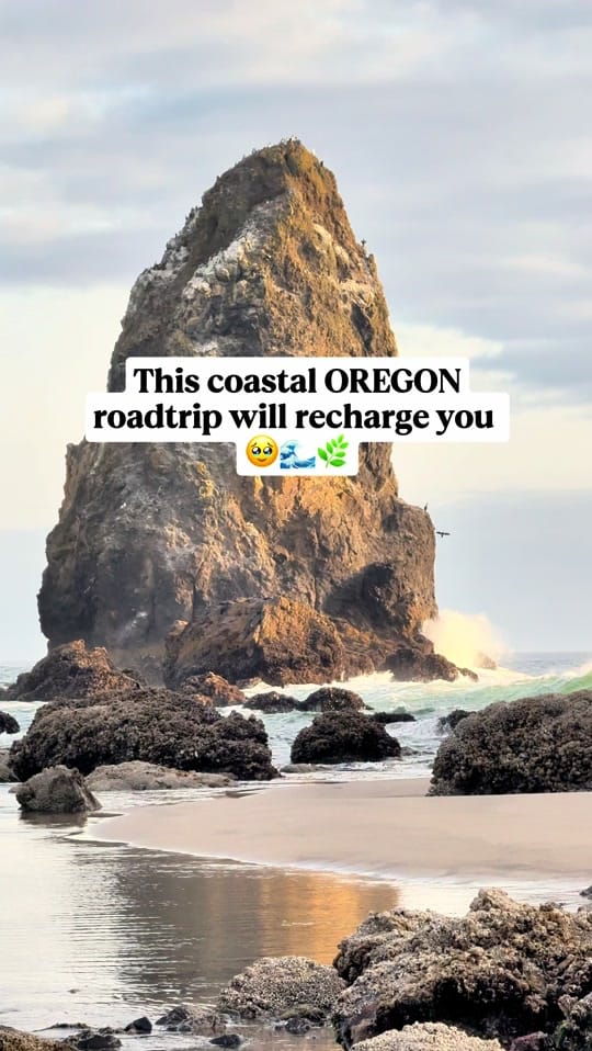 Post 5 by ourbucketlistjournal on TikTok (video)