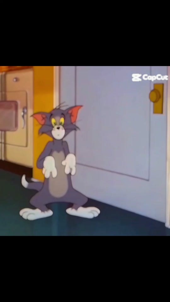 Post 9 by 🌸 Sandra 🌸 on TikTok (video)