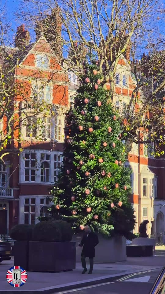 Post 7 by LONDONY on TikTok (video)