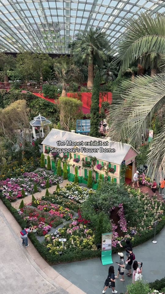 Post 8 by Margaret | Floral Content 🌸 on TikTok (video)