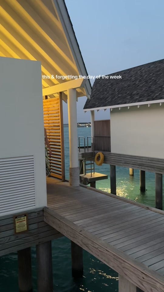 Post 6 by Margaret | Floral Content 🌸 on TikTok (video)