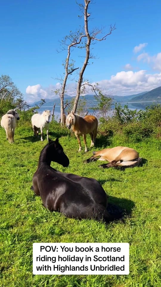 Post 9 by Highlands Unbridled on TikTok (video)