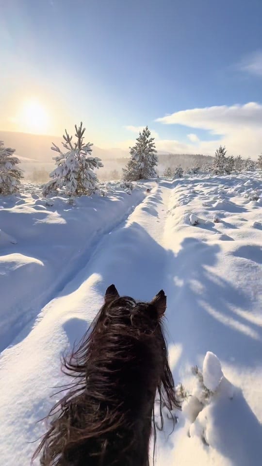 Post 3 by Highlands Unbridled on TikTok (video)