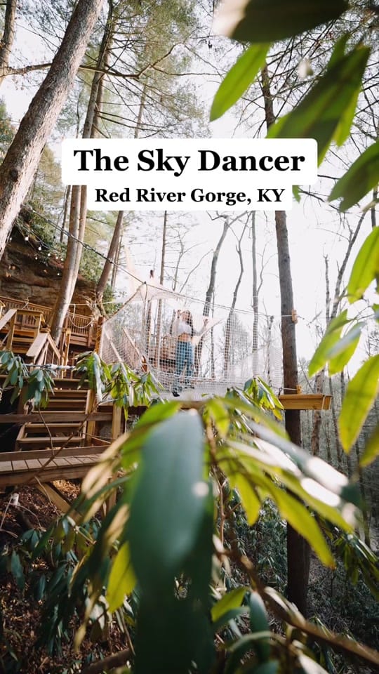 Post 3 by canopycrew on TikTok (video)