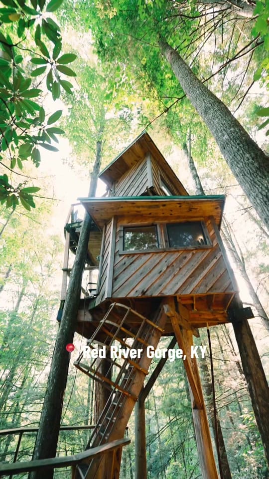 Post 1 by canopycrew on TikTok (video)