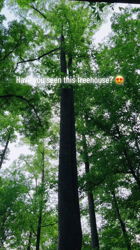 Post 10 by canopycrew on TikTok (video)