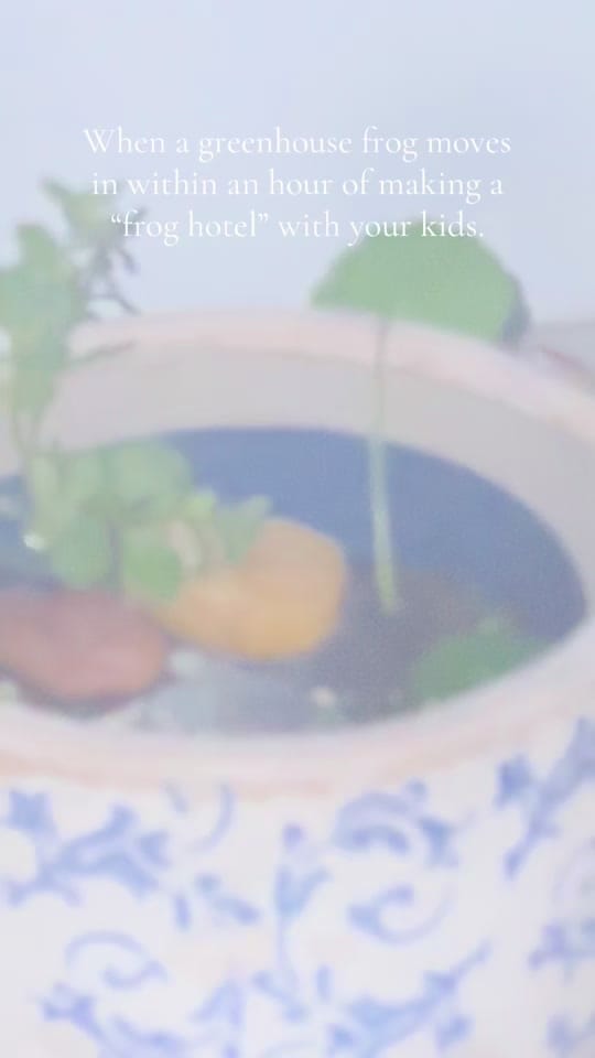 Post 6 by Ali K • Freezing Floridian🥶❄️ on TikTok (video)