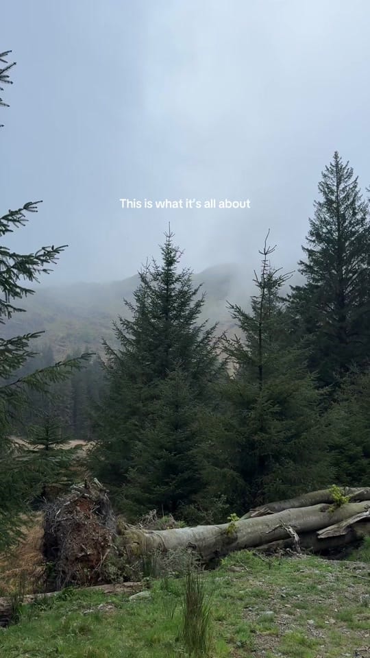 Post 4 by Tia ⛺️🌿 on TikTok (video)