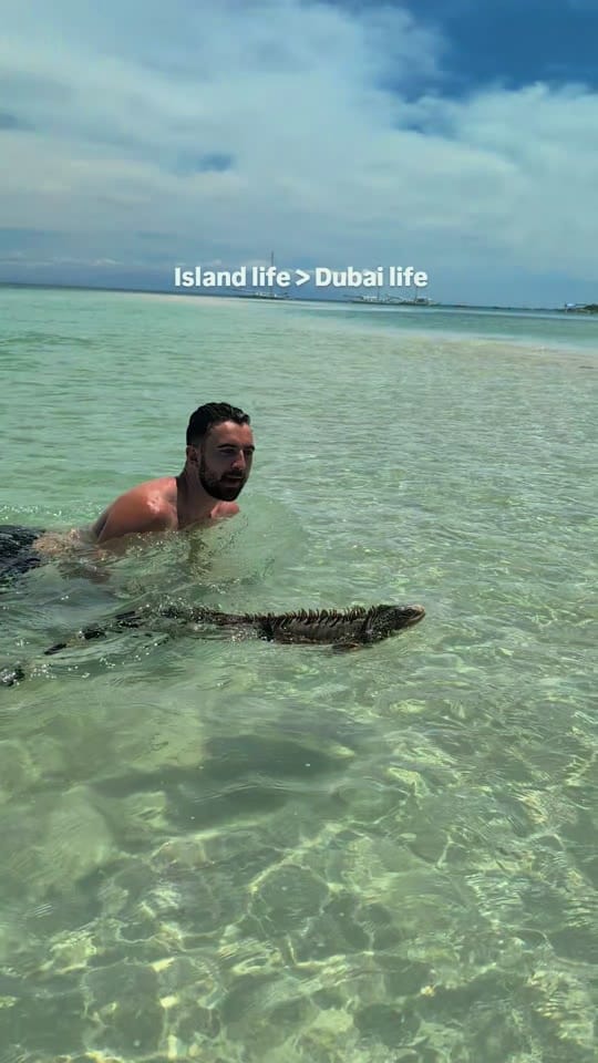 Post 8 by Will on TikTok (video)
