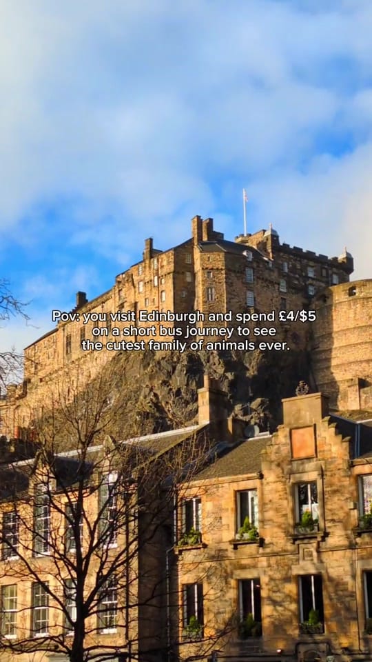 Post 9 by Theuktourguide on TikTok (video)