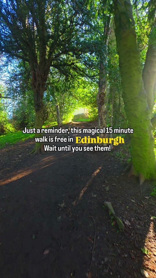 Post 3 by Theuktourguide on TikTok (video)