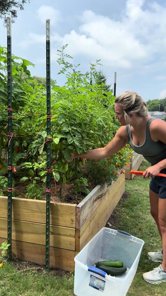 Post 8 by Sam | More than Gardening on TikTok (video)