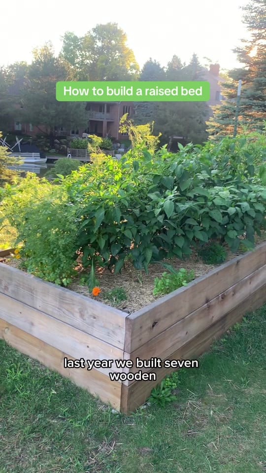 Post 6 by Sam | More than Gardening on TikTok (video)