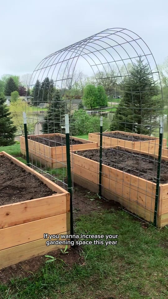 Post 4 by Sam | More than Gardening on TikTok (video)