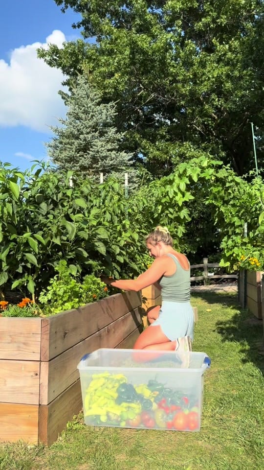 Post 9 by Sam | More than Gardening on TikTok (video)