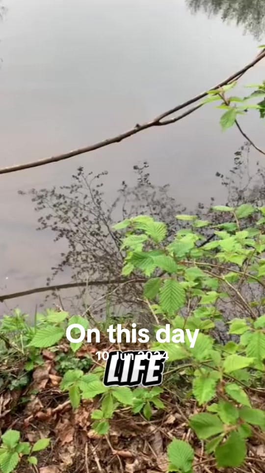 Post 3 by Jennifer Shand-Murray🌊👩‍⚕️ on TikTok (video)