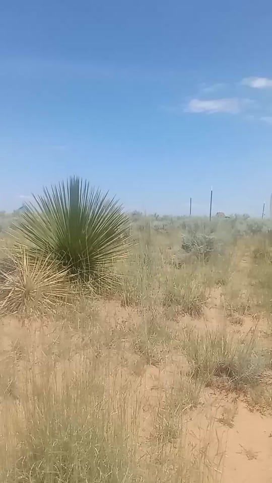 Post 9 by campdarkmoon on TikTok (video)