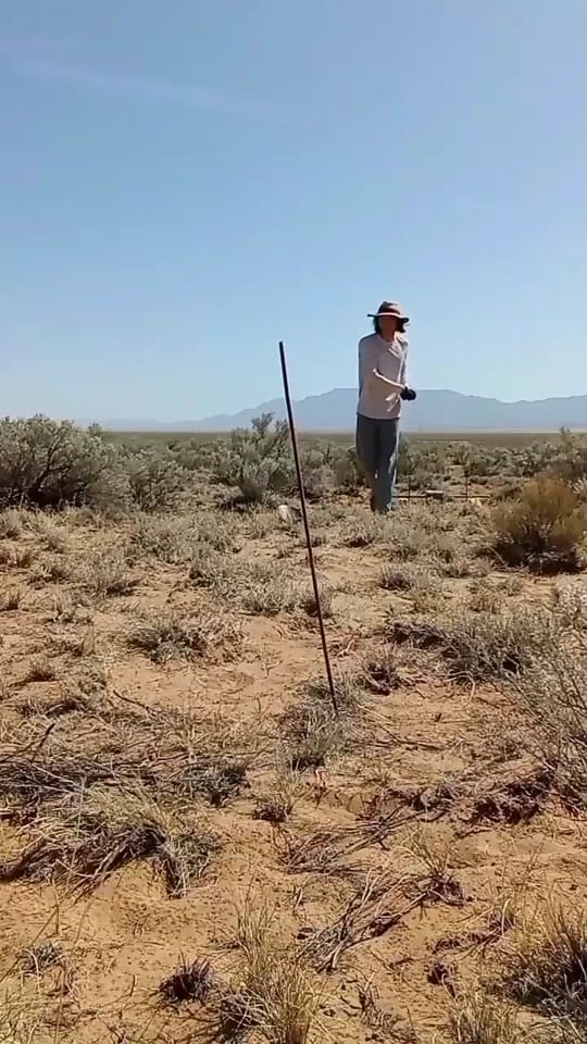 Post 10 by campdarkmoon on TikTok (video)