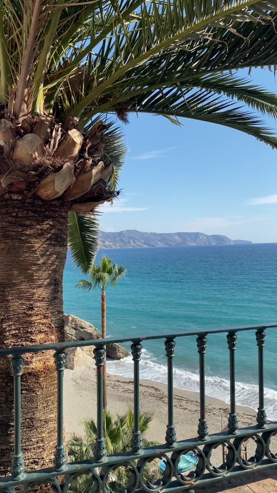 Post 9 by Uzma🦒 on TikTok (video)