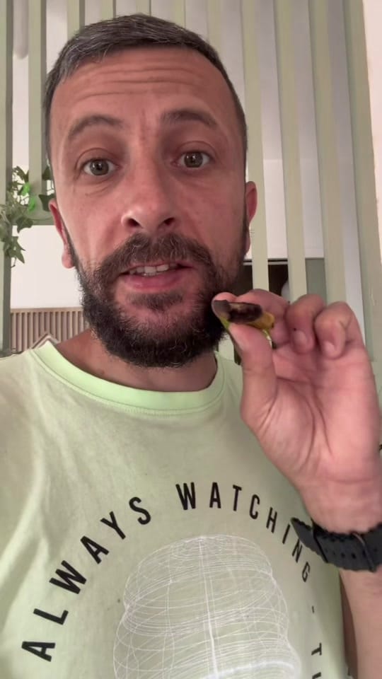 Post 8 by Jonathan coni on TikTok (video)
