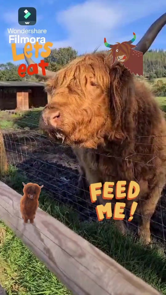 Post 7 by Paul's Adventures on TikTok (video)