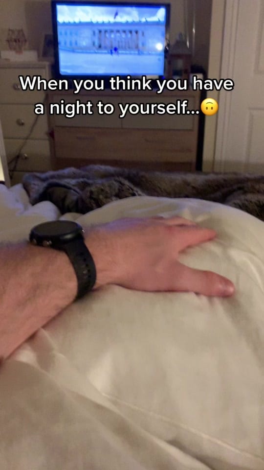 Post 3 by ArnieandArlo on TikTok (video)