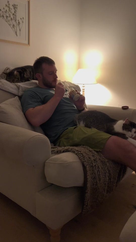 Post 7 by ArnieandArlo on TikTok (video)