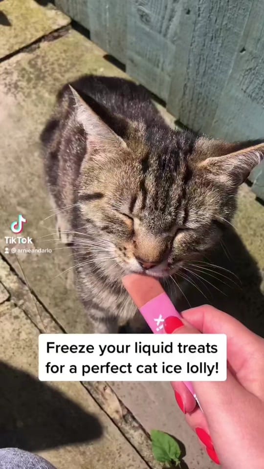 Post 10 by ArnieandArlo on TikTok (video)