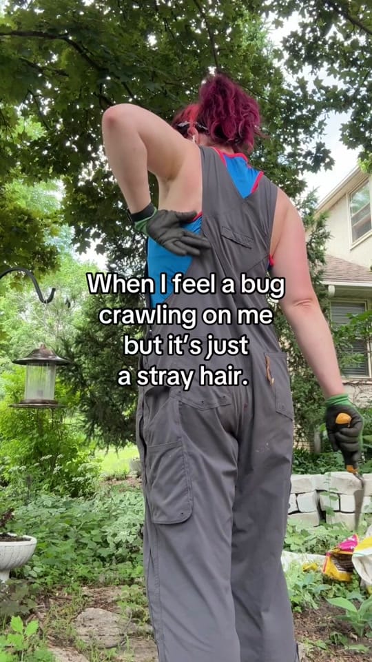 Post 5 by Cottage Garden Goblin on TikTok (video)