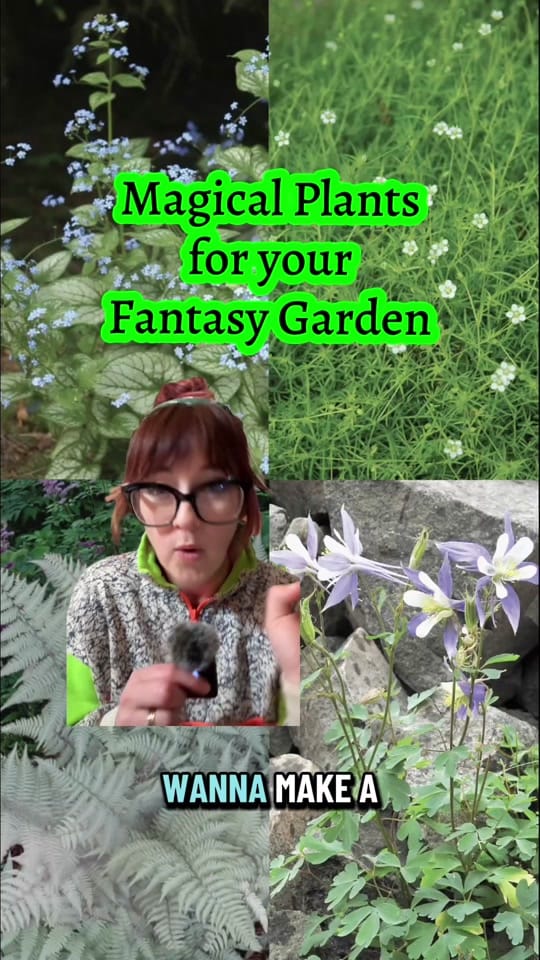Post 8 by Cottage Garden Goblin on TikTok (video)