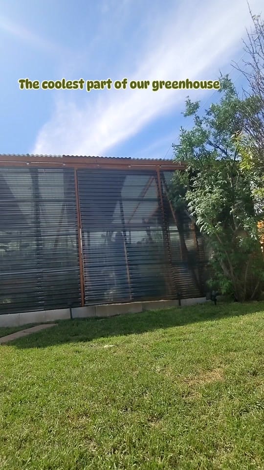 Post 8 by hydroculturehideout on TikTok (video)