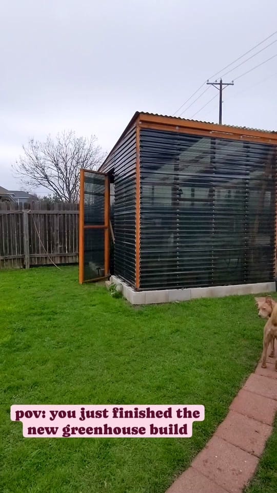 Post 6 by hydroculturehideout on TikTok (video)
