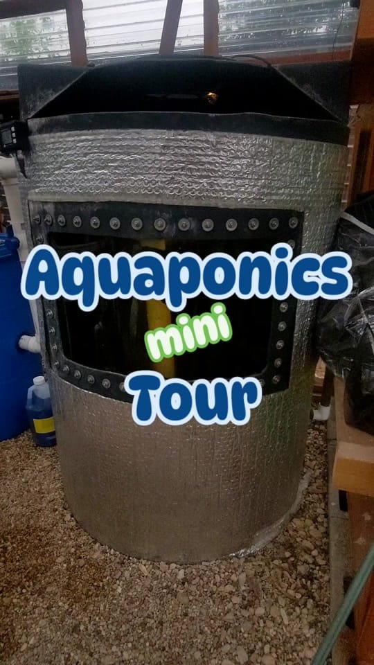 Post 5 by hydroculturehideout on TikTok (video)