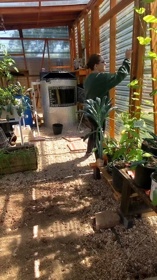 Post 2 by hydroculturehideout on TikTok (video)