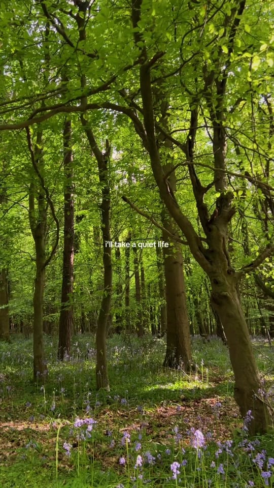 Post 9 by issie | travel on TikTok (video)