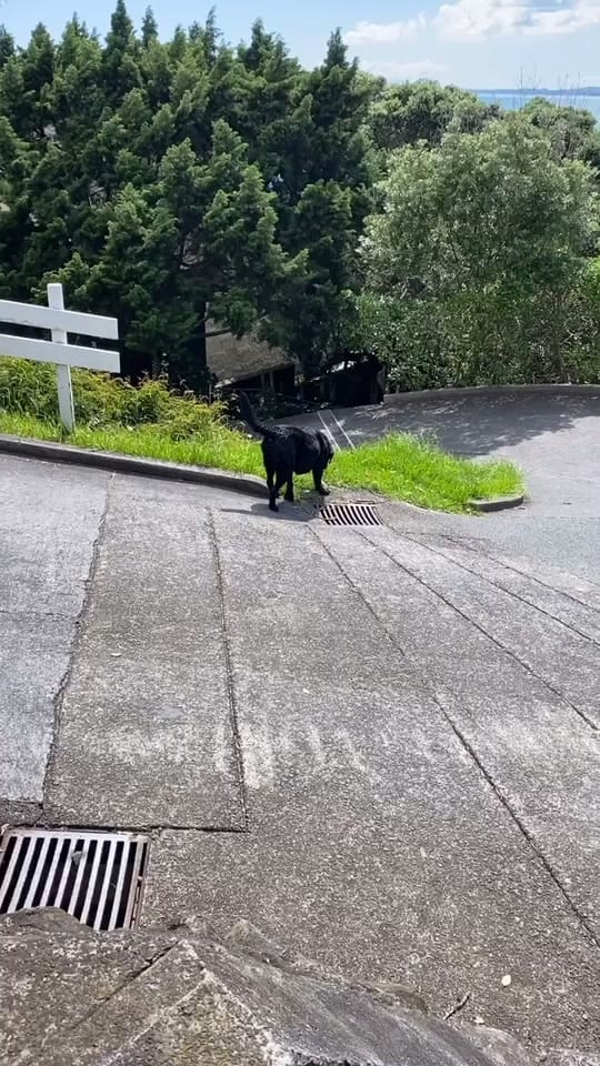 Post 9 by Cam Mansel on TikTok (video)