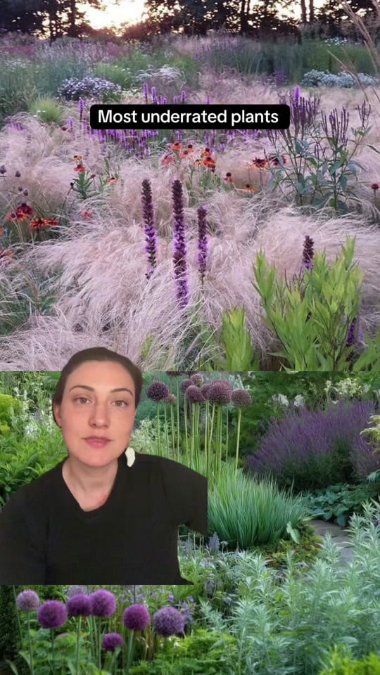Post 8 by gardening_ana on TikTok (video)