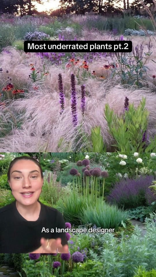 Post 2 by gardening_ana on TikTok (video)