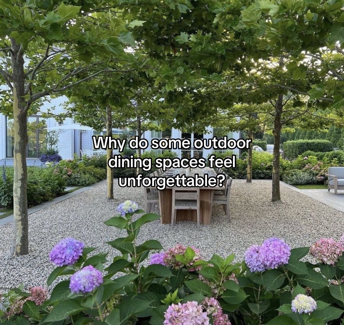 Post 7 by gardening_ana on TikTok (video)