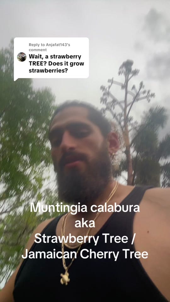 Post 5 by Agriculture At Home on TikTok (video)