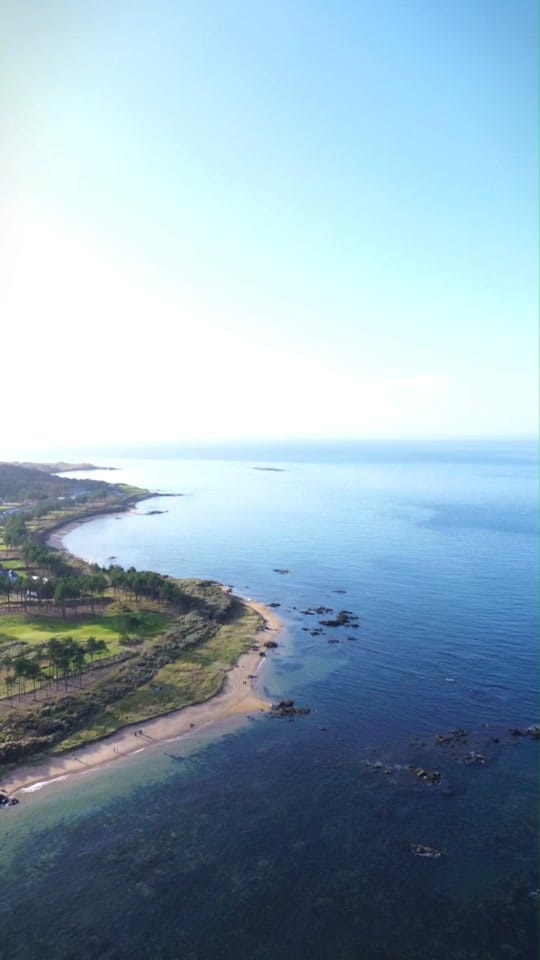 Post 10 by Underwater Scotland® on TikTok (video)