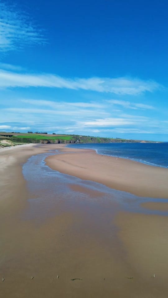 Post 2 by Underwater Scotland® on TikTok (video)