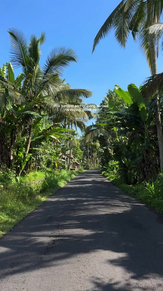 Post 4 by Leesh on TikTok (video)