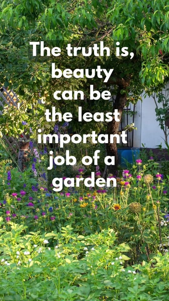 Post 2 by The Grass Girl on TikTok (video)