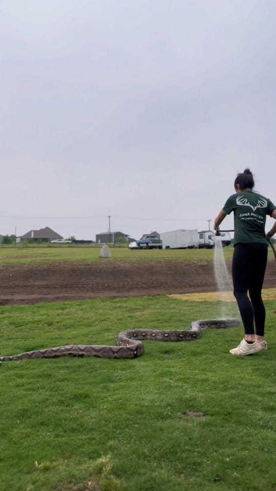 Post 9 by montana_txm on TikTok (video)